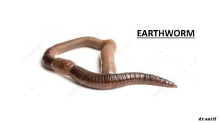 EARTHWORM
dr.aarif
 