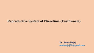 Reproductive System of Pheretima (Earthworm)
Dr . Sonia Bajaj
soniabajaj51@gmail.com
 
