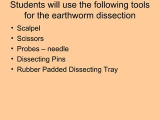 Students will use the following tools
for the earthworm dissection
• Scalpel
• Scissors
• Probes – needle
• Dissecting Pins
• Rubber Padded Dissecting Tray
 