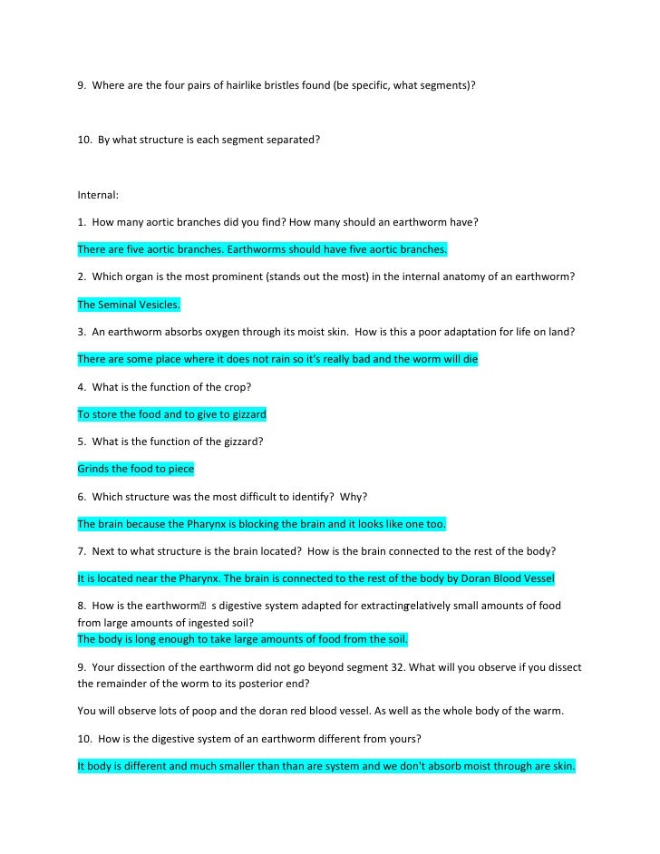 earthworm-dissection-worksheet-db-excel