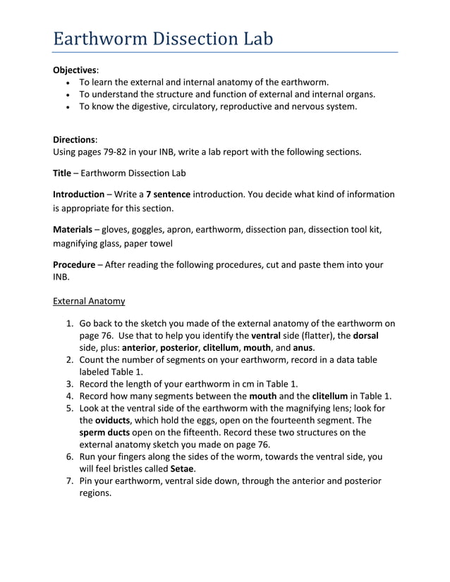 Earthworm dissection lab report PDF