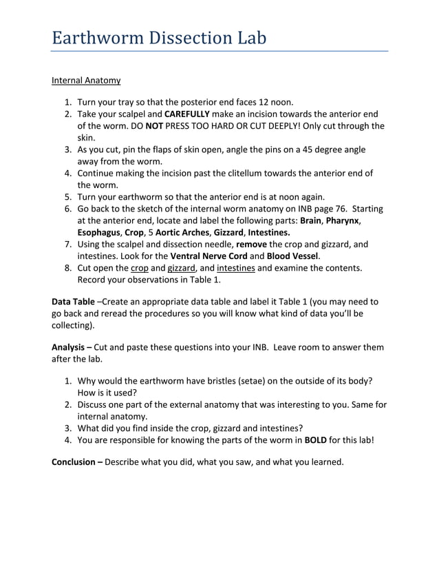 Earthworm dissection lab report