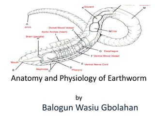 Anatomy and Physiology of Earthworm
by
Balogun Wasiu Gbolahan
 