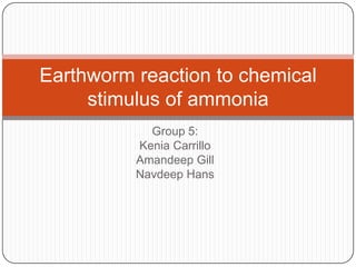 Earthworm reaction to chemical
     stimulus of ammonia
            Group 5:
          Kenia Carrillo
          Amandeep Gill
          Navdeep Hans
 