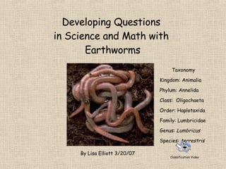 Developing Questions in Science and Math with  Earthworms By Lisa Elliott 3/20/07 Taxonomy Kingdom: Animalia Phylum: Annelida Class:  Oligochaeta Order: Haplotaxida Family: Lumbricidae Genus:  Lumbricus Species:  terrestris Classification Video 