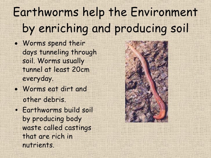 Earthworms