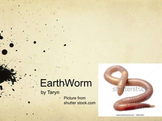 EarthWorm
by Taryn
Picture from
shutter stock.com
 