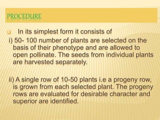 PROCEDURE
 In its simplest form it consists of
i) 50- 100 number of plants are selected on the
basis of their phenotype a...
