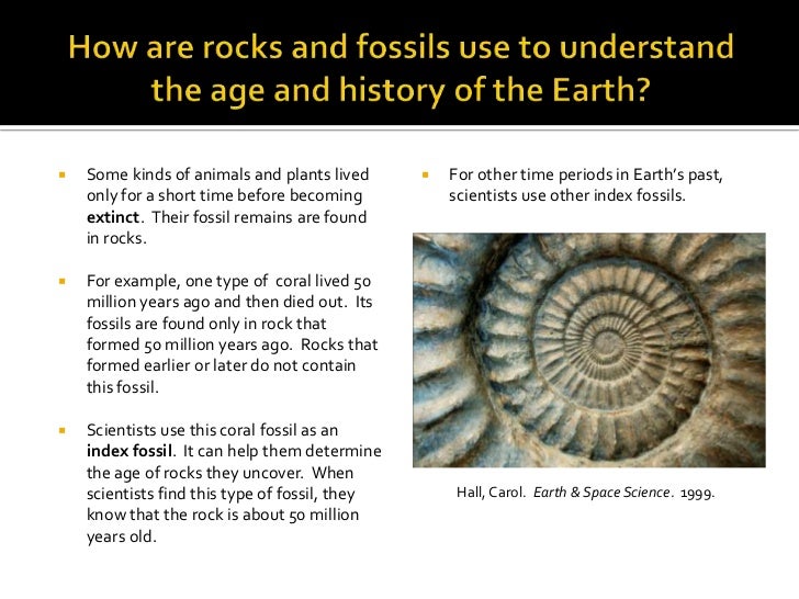 Earth unit fossils and geological history power point