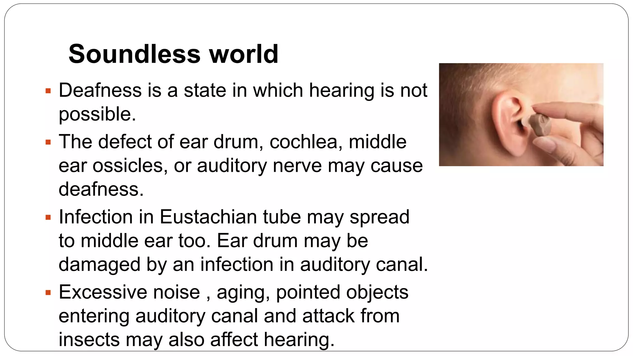 Human Ear | PPTX