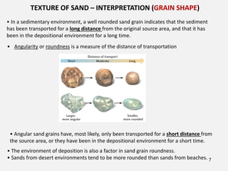 EASC 229 _B_ Sediments and sedimenatry rocks (1).pdf