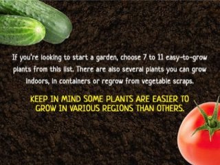 If you’re looking to start a garden, choose 7 to 11 easy-to-grow
plants from this list. There are also several plants you ...