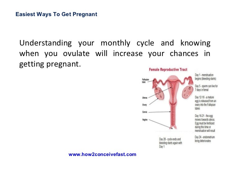 Easiest Ways To Get Pregnant 18