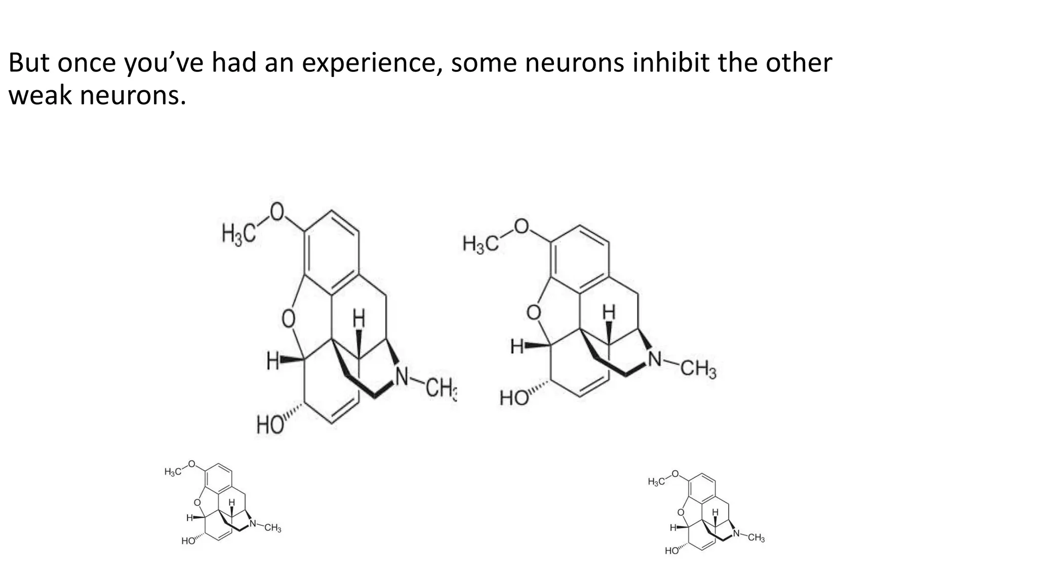 But once you’ve had an experience, some neurons inhibit the other
weak neurons.
 