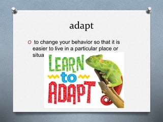 adapt
O to change your behavior so that it is
easier to live in a particular place or
situation
 