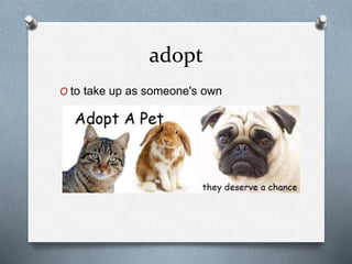 adopt
O to take up as someone's own
 