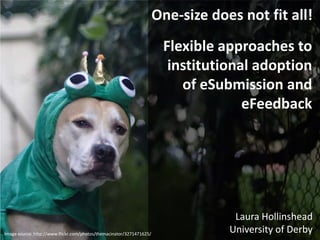 Flexible approaches to
institutional adoption
of eSubmission and
eFeedback
Laura Hollinshead
University of Derby
One-size does not fit all!
Image source: http://www.flickr.com/photos/themacinator/3271471625/
 