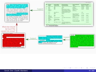 Support
What else should
be true if the
causal link is true?
Support
Support
Cerutti, Oren (Cardiff, Aberdeen) 16 / 203
 