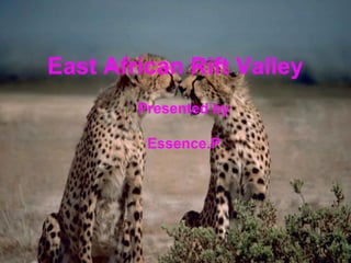 East African Rift Valley
Presented by
Essence.P

 