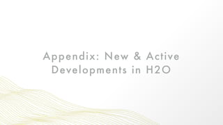Appendix: New & Active
Developments in H2O
 