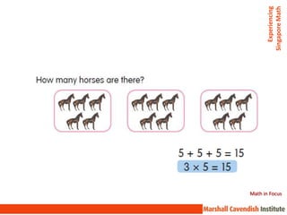 Experiencing
Math in Focus




                Singapore Math
 