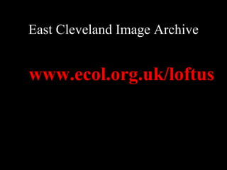 East Cleveland Image Archive www.ecol.org.uk/loftus 