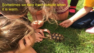 Sometimes we take them outside when
it is warm.