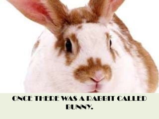 ONCE THERE WAS A RABBIT CALLED BUNNY.