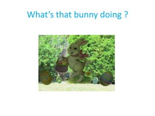 What’s that bunny doing ?
