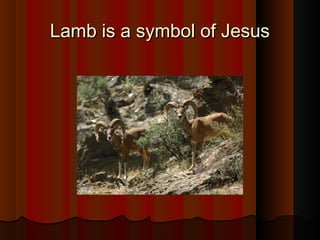 Lamb is a symbol of JesusLamb is a symbol of Jesus
 