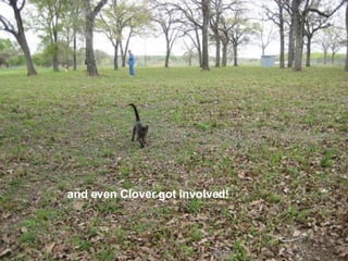 and even Clover got involved! 