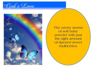 God’s Love
The ozony aroma
of soft baby
powder with just
the right amount
of ripened sweet
mulberries.
 