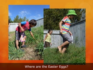 Where are the Easter Eggs?