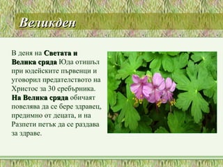 ВеликденВеликден
В деня на Светата иСветата и
Велика срядаВелика сряда Юда отишъл
при юдейските първенци и
уговорил предателството на
Христос за 30 сребърника.
На Велика срядаНа Велика сряда обичаят
повелява да се бере здравец,
предимно от децата, и на
Разпети петък да се раздава
за здраве.
 