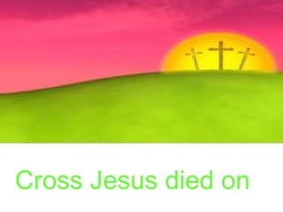 Cross Jesus died on
 