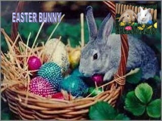 EASTER BUNNY 