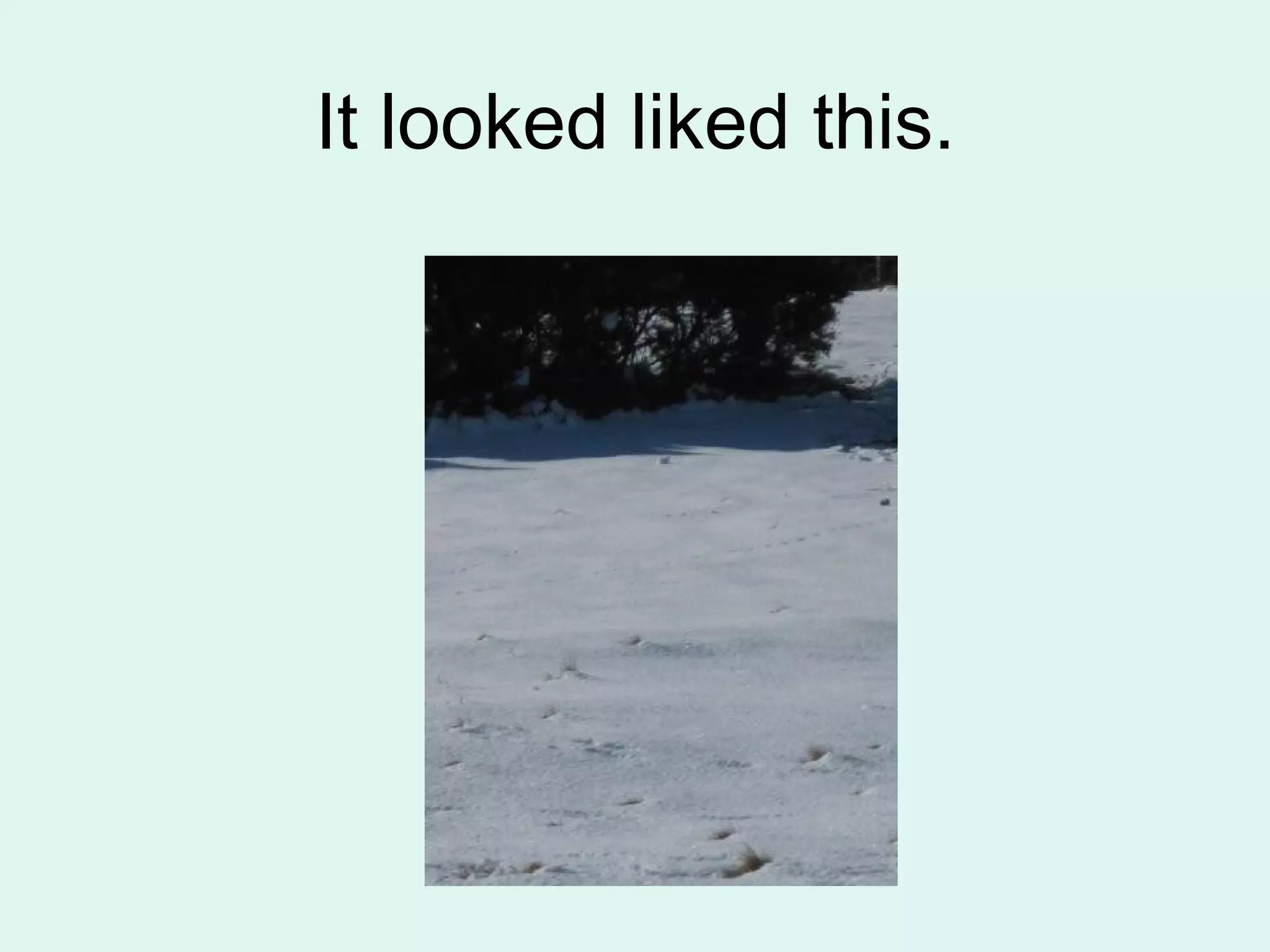 It looked liked this.