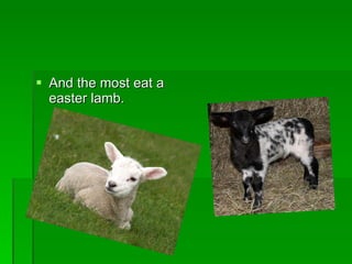 And the most eat a easter lamb. 