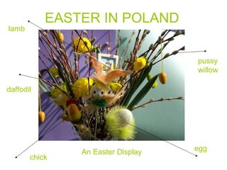 EASTER IN POLAND An Easter Display lamb daffodil chick egg pussy willow 