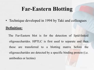 Far-Eastern Blotting
• Technique developed in 1994 by Taki and colleagues
Definition:
The Far-Eastern blot is for the detection of lipid-linked
oligosaccharides. HPTLC is first used to separate and then
these are transferred to a blotting matrix before the
oligosaccharides are detected by a specific binding protein (i.e.
antibodies or lectins)
 