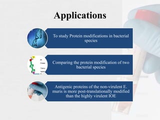 Applications
To study Protein modifications in bacterial
species
Comparing the protein modification of two
bacterial species
Antigenic proteins of the non-virulent E.
muris is more post-translationally modified
than the highly virulent IOE
 