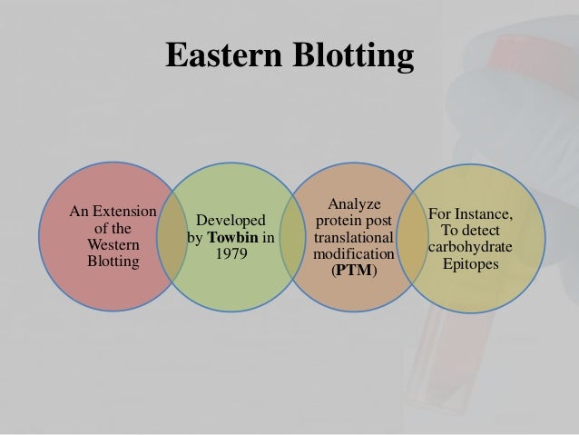 south eastern blotting south eastern blotting