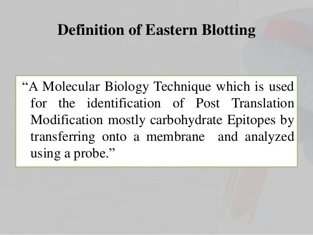 south eastern blotting south eastern blotting