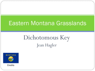 Eastern Montana Grasslands

          Dichotomous Key
              Jean Hagler



Credits
 