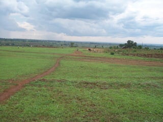 Eastern uganda