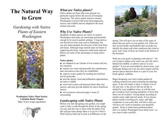 What are Native plants?
The Natural Way                    Native plants are those that were present in a
                                   particular region before the arrival of European
    to Grow                        Americans. The native plants found in eastern
                                   Washington evolved with local microorganisms,
                                   insects, and wildlife and are adapted to the local
                                   climate and soils.
Gardening with Native
  Plants of Eastern                Why Use Native Plants?
                                   Hundreds of plant species are native to eastern
    Washington                     Washington and many are interesting and beautiful
                                   enough to be used in garden settings. Using natives       spring. This will give you an idea of the types of
                                   can benefit not only your yard or landscape, but          plants that can grow in your garden soil. There are
                                   can also help maintain the diversity of the local flora   also several books and booklets that can help you
                                   and fauna. Although large natural areas are better at     identify the plants and what conditions they need to
                                   supporting diversity, numerous small areas help too.      grow well; some of these are listed at the bottom of
                                   Below are some of the advantages of using native          the brochure.
                                   plants:
                                                                                             What are your goals in planting with natives? Are
                                   Native plants:                                            you trying to reduce your water use, provide native
                                   ♠ are adapted to our climate of wet winters and hot,      habitat for wildlife, or admire natives in your
                                   dry summers                                               garden? If you are surrounded by desert areas, your
                                   ♠ require less water and generally less maintenance       landscape design can even use native plants and the
                                   than non-natives once they are established                natural spaces between them as a part of your fire
                                   ♠ improve water quality by needing less fertilizer        break against wildfires.
                                   and no pesticides
                                   ♠ provide shelter, food and pollination opportunities     Begin designing your native plant garden by
                                   for native wildlife                                       walking around your yard evaluating the planting
                                   ♠ resist native pests and diseases better than non-       space. Is the soil sandy or does it contain a lot of
                                   natives, and may provide habitat for native beneficial    silt and clay; is the area in full sun all day or
                                   insects                                                   shaded by your neighbors trees; or will the area
                                   ♠ save resources and encourage a sense of                 get overspray from existing sprinklers or from drip
                                   stewardship                                               lines you set in place? Group plants according to
 Washington Native Plant Society                                                             similar water, light and soil needs. If you choose
   Columbia Basin Chapter                                                                    plants suited to existing soil, water, and light
  http://www.wnps.org/cbasin       Landscaping with Native Plants                            conditions in your yard, they will thrive and you
                                   Before you start designing your garden, you might         will have less work to maintain your beautiful
                                   want to take a walk through the desert in the spring.     garden. Keep in mind many perennial plants
                                   An easy and fun way to learn what the plants look         native to eastern Washington have deep roots—so
                                   like and get some design ideas is to go on a Native       you want to plan carefully.
                                   Plant Society field trip to look at wildflowers in the
 