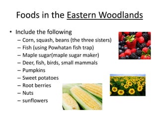Foods in the Eastern Woodlands
• Include the following
  –   Corn, squash, beans (the three sisters)
  –   Fish (using Powhatan fish trap)
  –   Maple sugar(maple sugar maker)
  –   Deer, fish, birds, small mammals
  –   Pumpkins
  –   Sweet potatoes
  –   Root berries
  –   Nuts
  –   sunflowers
 