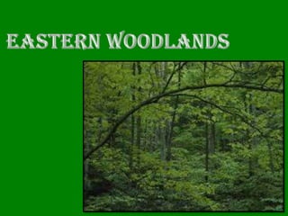 Eastern Woodlands PP