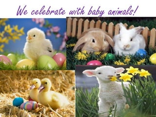 We celebrate with baby animals!
 