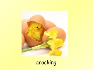 cracking 